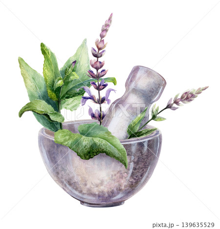 Sage leaves and flowers in stone mortar watercolor illustration. Vintage stone bowl with pestle and medicinal salvia herb for organic tea packaging, traditional pharmacy branding, remedy design 139635529