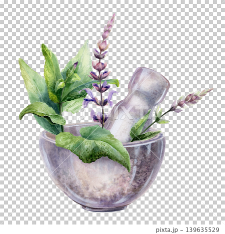 Sage leaves and flowers in stone mortar watercolor illustration. Vintage stone bowl with pestle and medicinal salvia herb for organic tea packaging, traditional pharmacy branding, remedy design 139635529
