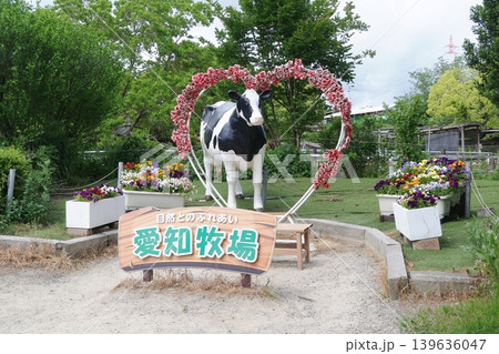 愛知牧場の記念写真を撮るところ 愛知牧場の記念写真を撮るところ 139636047