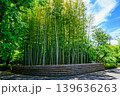 東京都　杉並区　観泉寺（かんせんじ）　竹林　今川氏真の開基　曹洞宗　都旧跡 139636263