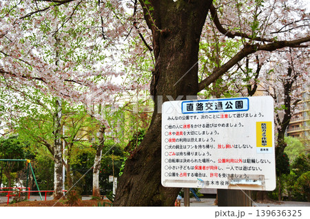 直路交通公園_24 139636325