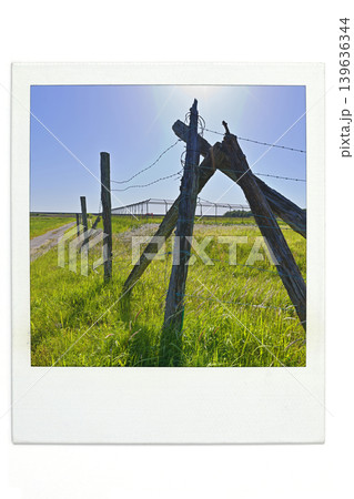 荒野に続く道 荒野に続く道 139636344
