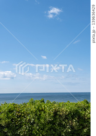 由比ガ浜海水浴場公園からの風景 由比ガ浜海水浴場公園からの風景 139636429