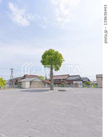 くすの木広場 くすの木広場 139636443