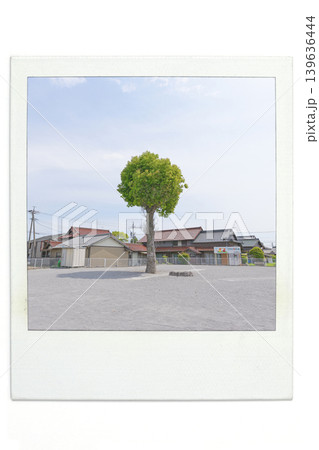 くすの木広場 くすの木広場 139636444