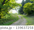 緑に囲まれた道 139637258