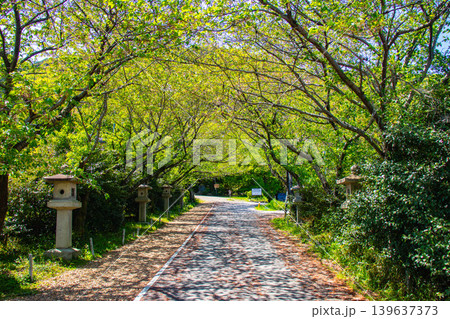 【京都風景】大石神社 大願成就のご利益のある願掛けの神様 【京都風景】大石神社 大願成就のご利益のある願掛けの神様 139637373