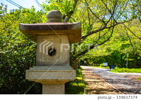 【京都風景】大石神社 大願成就のご利益のある願掛けの神様 139637374