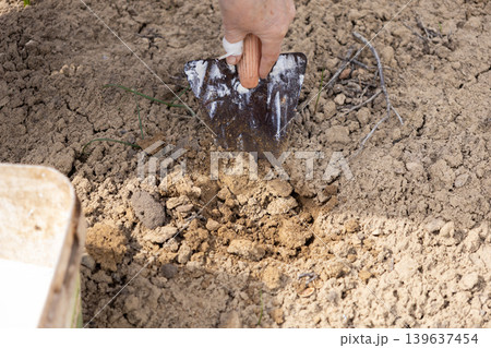Person using a metal hand trowel to dig into dry soil, representing gardening work, plant cultivation, soil preparation, and sustainable agricultural practices in a backyard plot Person using a metal hand trowel to dig into dry soil, representing gardening work, plant cultivation, soil preparation, and sustainable agricultural practices in a backyard plot 139637454