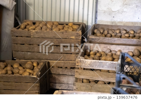 Raw brown potatoes stacked in wooden crates inside a rustic storage warehouse, showcasing local organic farming produce, harvest bounty, and traditional agricultural food supply 139637476