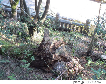 2014年・香川・観音寺・八幡・風景・神社・琴引八幡宮・其の百二十三 2014年・香川・観音寺・八幡・風景・神社・琴引八幡宮・其の百二十三 139637672
