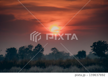Sunset sky over silhouette tree line with orange cloud and calm landscape 139637892