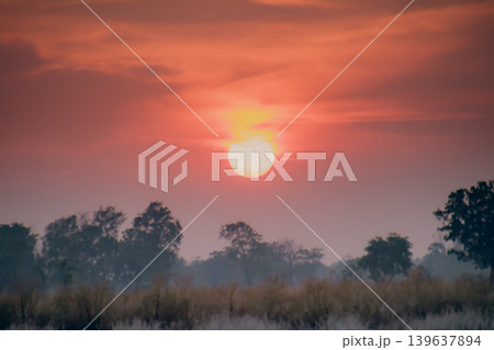 Sunrise over misty field with glowing red sky and silhouetted tree line in calm rural landscape Sunrise over misty field with glowing red sky and silhouetted tree line in calm rural landscape 139637894