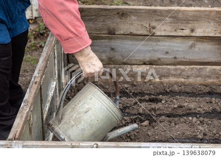 Senior person watering soil in a wooden raised garden bed using an old metal watering can, emphasizing sustainable organic farming practices and seasonal cultivation in a home vegetable patch Senior person watering soil in a wooden raised garden bed using an old metal watering can, emphasizing sustainable organic farming practices and seasonal cultivation in a home vegetable patch 139638079