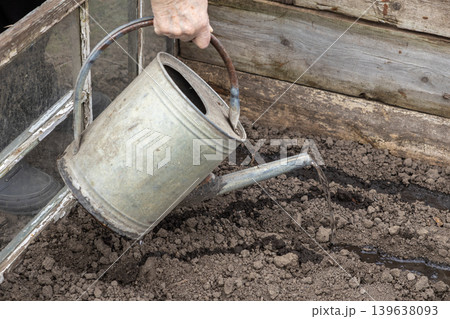 A senior person holds a metal watering can to hydrate soil in a wooden greenhouse, fostering growth and sustainable gardening practices for seasonal vegetable cultivation in a home backyard A senior person holds a metal watering can to hydrate soil in a wooden greenhouse, fostering growth and sustainable gardening practices for seasonal vegetable cultivation in a home backyard 139638093