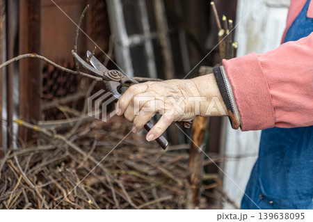 Elderly person holding vintage pruning shears to trim dry tree branches in a rural garden setting, emphasizing seasonal yard maintenance work and sustainable horticultural hobbyist lifestyle skills Elderly person holding vintage pruning shears to trim dry tree branches in a rural garden setting, emphasizing seasonal yard maintenance work and sustainable horticultural hobbyist lifestyle skills 139638095