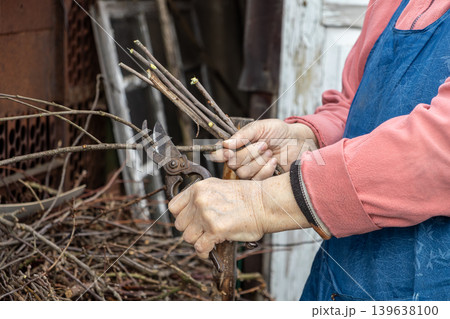 Elderly gardener using rusty metal shears to trim dry tree branches, focusing on sustainable yard maintenance and seasonal preparation for healthy plant growth in a rural home backyard setting 139638100