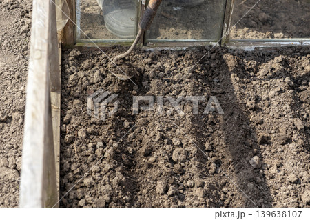 A gardener uses a small hand hoe to prepare rich soil for planting in a greenhouse, effectively illustrating organic vegetable cultivation and essential sustainable small-scale farming practices A gardener uses a small hand hoe to prepare rich soil for planting in a greenhouse, effectively illustrating organic vegetable cultivation and essential sustainable small-scale farming practices 139638107