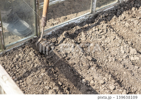 A professional gardener uses a manual hoe to cultivate dry greenhouse soil, preparing the fertile land for organic spring planting and sustainable agriculture to support a healthy lifestyle A professional gardener uses a manual hoe to cultivate dry greenhouse soil, preparing the fertile land for organic spring planting and sustainable agriculture to support a healthy lifestyle 139638109