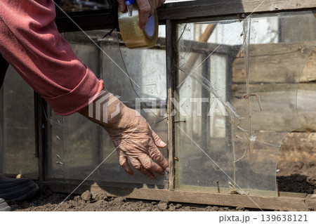 A senior woman diligently repairs a broken greenhouse window with adhesive tape, highlighting household maintenance, manual labor, resourcefulness, and sustainable gardening in her backyard A senior woman diligently repairs a broken greenhouse window with adhesive tape, highlighting household maintenance, manual labor, resourcefulness, and sustainable gardening in her backyard 139638121