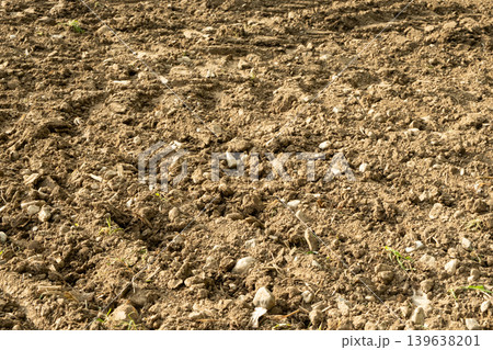 Detailed texture of dry earth with grey stones. Rocky soil background Detailed texture of dry earth with grey stones. Rocky soil background 139638201