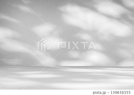 Abstract white studio room with light and shadow from window and tree leaves background for product display presentation 139638355