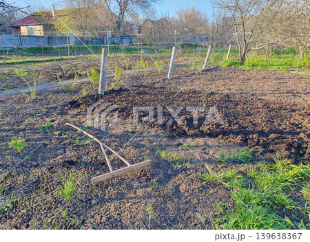 Spring gardening work: plowed land, wooden rake on the soil in a private garden. Preparation for sowing, agriculture Spring gardening work: plowed land, wooden rake on the soil in a private garden. Preparation for sowing, agriculture 139638367