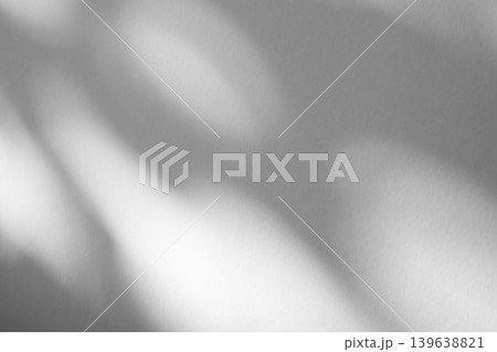 Abstract natural tree branch leaves shadow on white wall background Abstract natural tree branch leaves shadow on white wall background 139638821
