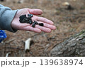 黒曜石 139638974