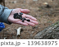黒曜石 139638975