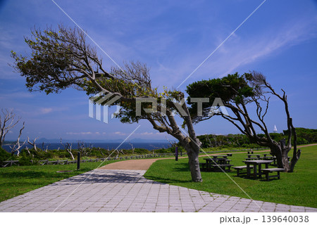 城ヶ島公園 139640038
