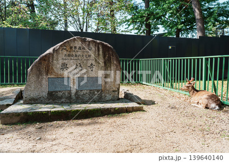 世界遺産 興福寺 世界遺産 興福寺 139640140