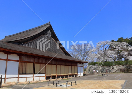 【兵庫県】満開の桜と丹波篠山城の二の丸御殿(大書院) 【兵庫県】満開の桜と丹波篠山城の二の丸御殿(大書院) 139640208