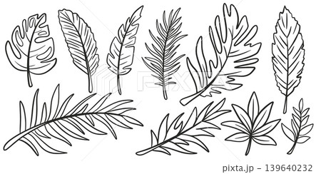 Tropical leaves black hand drawn collection Tropical leaves black hand drawn collection 139640232