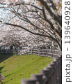 土手沿の桜並木　(佐賀県・徐福サイクルロード) 139640928