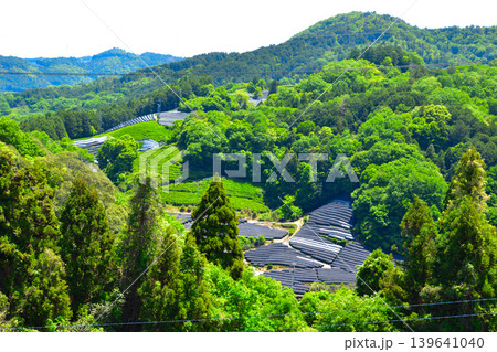 京都 和束茶源郷 撰原の茶畑 京都 和束茶源郷 撰原の茶畑 139641040