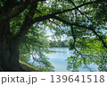 緑の木々の間から見える湖面 139641518