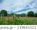 赤いポピーが咲き誇る風景 139641521