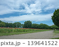 緑のある風景 139641522