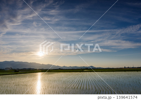 愛媛県 道前平野に広がる田植え後の田んぼと夕景 愛媛県 道前平野に広がる田植え後の田んぼと夕景 139641574
