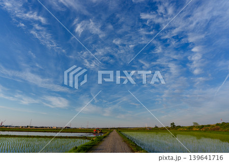 田植え直後の田んぼと青空 初夏の日本の田園風景 田植え直後の田んぼと青空 初夏の日本の田園風景 139641716