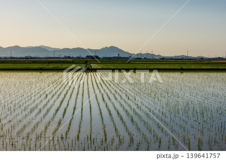 愛媛県 道前平野に広がる田植え後の田んぼと山並み 139641757