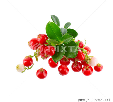Fresh cowberry berries with leaves, isolated on white background. Ripe cranberry, cowberry, lingonberry. Clipping path. Fresh cowberry berries with leaves, isolated on white background. Ripe cranberry, cowberry, lingonberry. Clipping path. 139642431