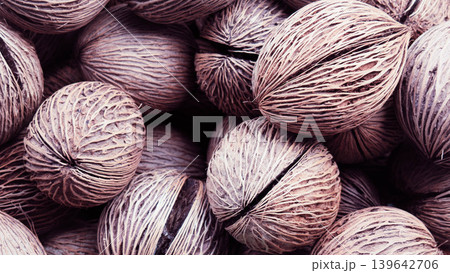 Close-up of dried Cerbera odollam fruit texture with unique fibrous pattern, natural background Close-up of dried Cerbera odollam fruit texture with unique fibrous pattern, natural background 139642706