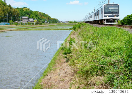 水を張った田んぼとB.B.BASE手賀沼 139643682