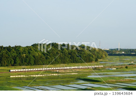 西日に照らされる水田地帯とE235系 139643684