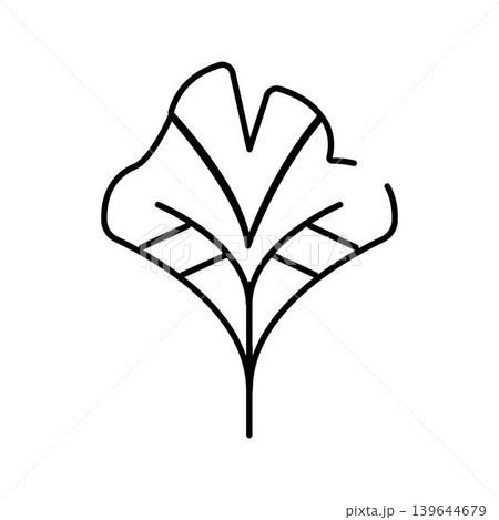 Ginkgo biloba leaf line art illustrating nature 139644679