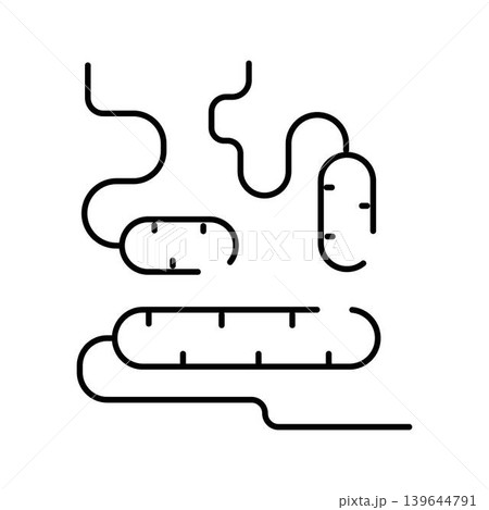 Gut microbiome and bacteria representing human intestine flora 139644791
