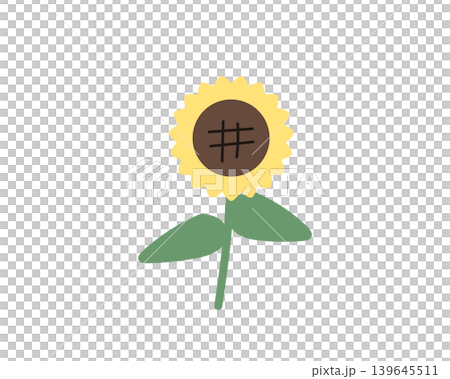 ひまわりのイラスト 手書き風　縁なし 139645511