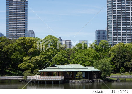 浜離宮恩賜庭園の中島の御茶屋と都会のビル群 139645747